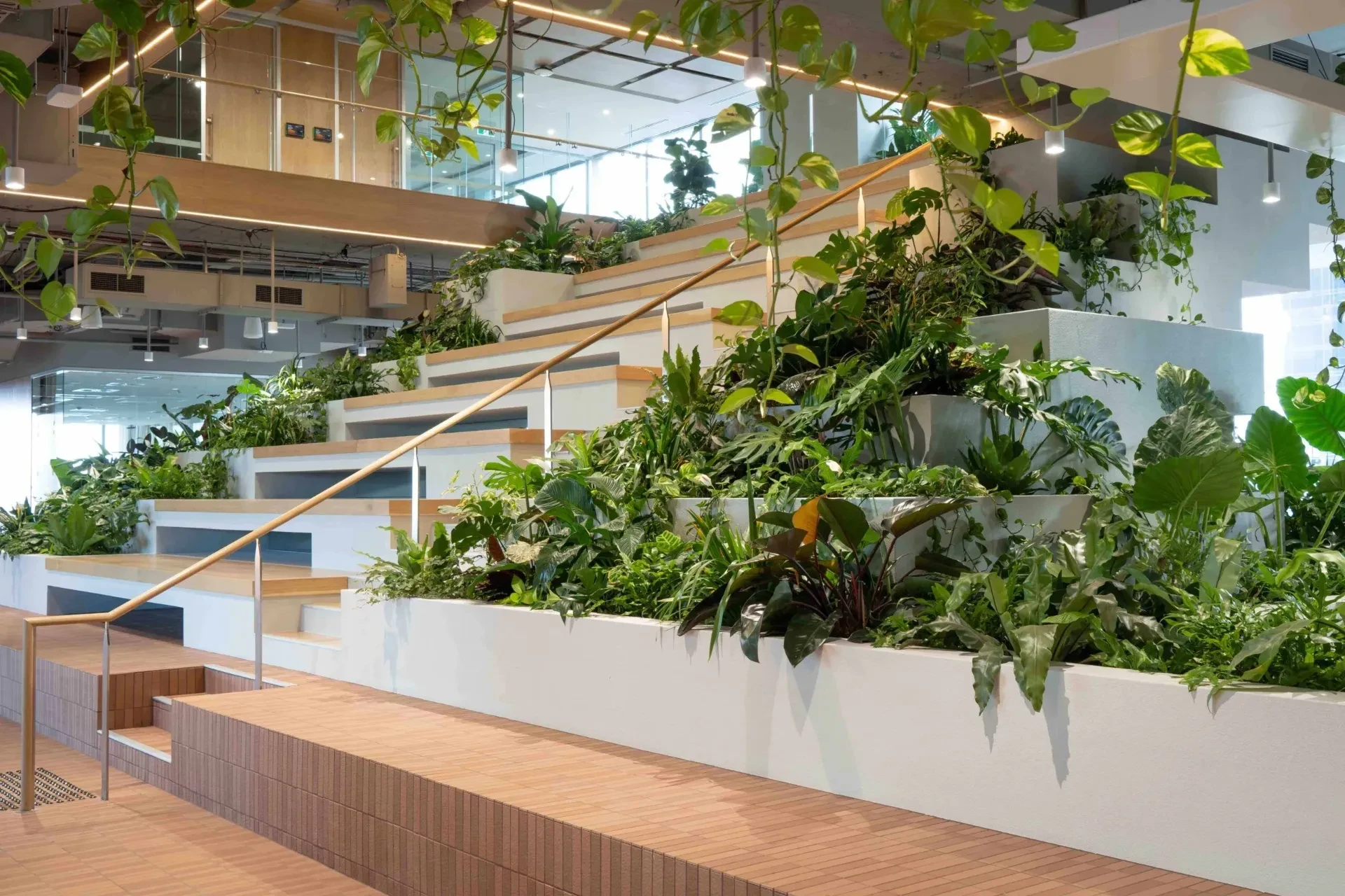 Biophilic office dekoráció